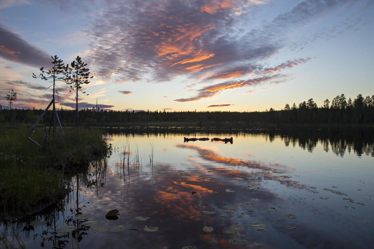 Rovaniemi